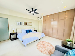 Botanic Gardens View (D10), Apartment #597705351